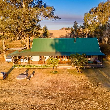 Dalmore Guest Farm Бергвилль Экстерьер фото