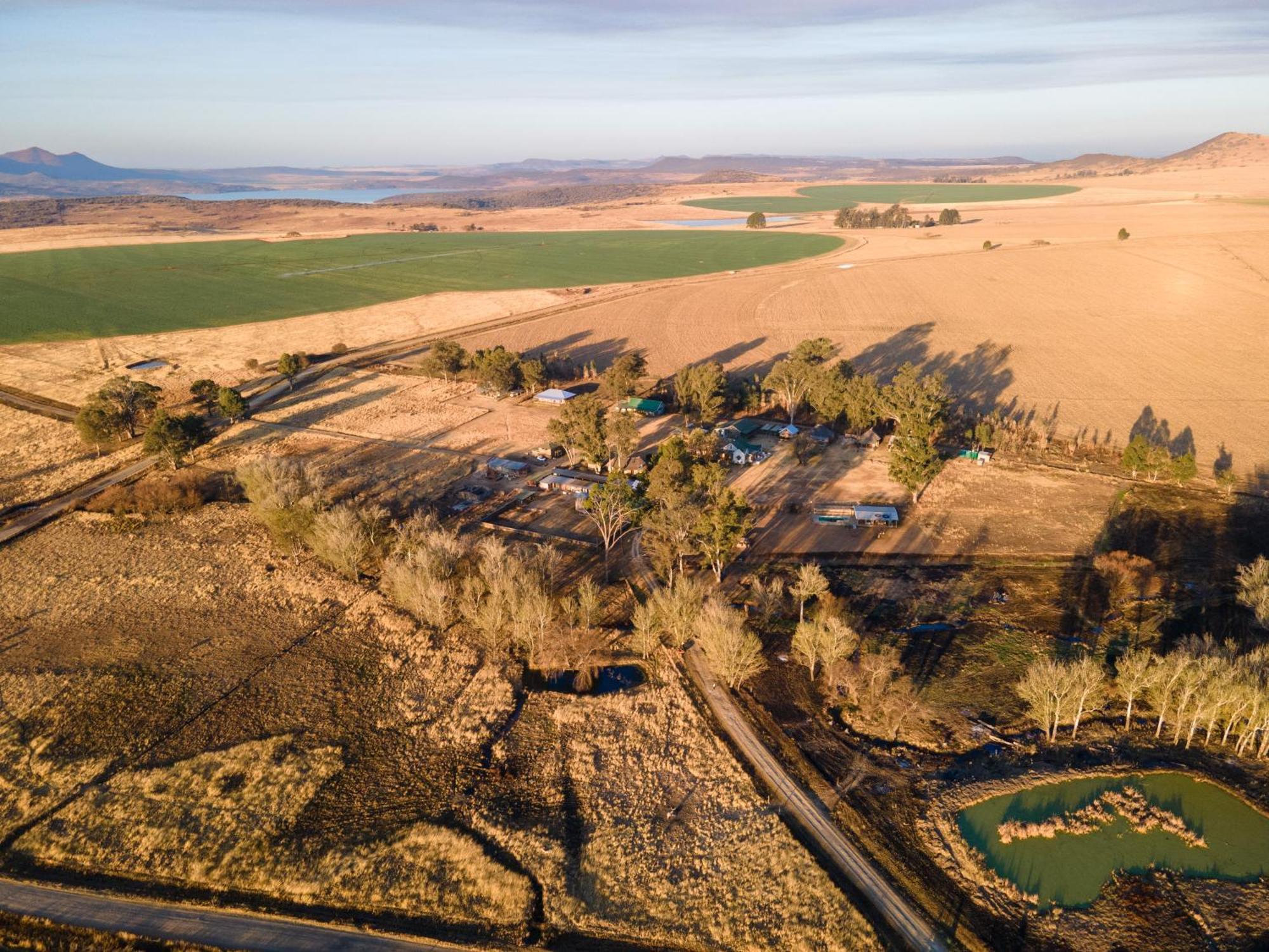 Dalmore Guest Farm Бергвилль Экстерьер фото