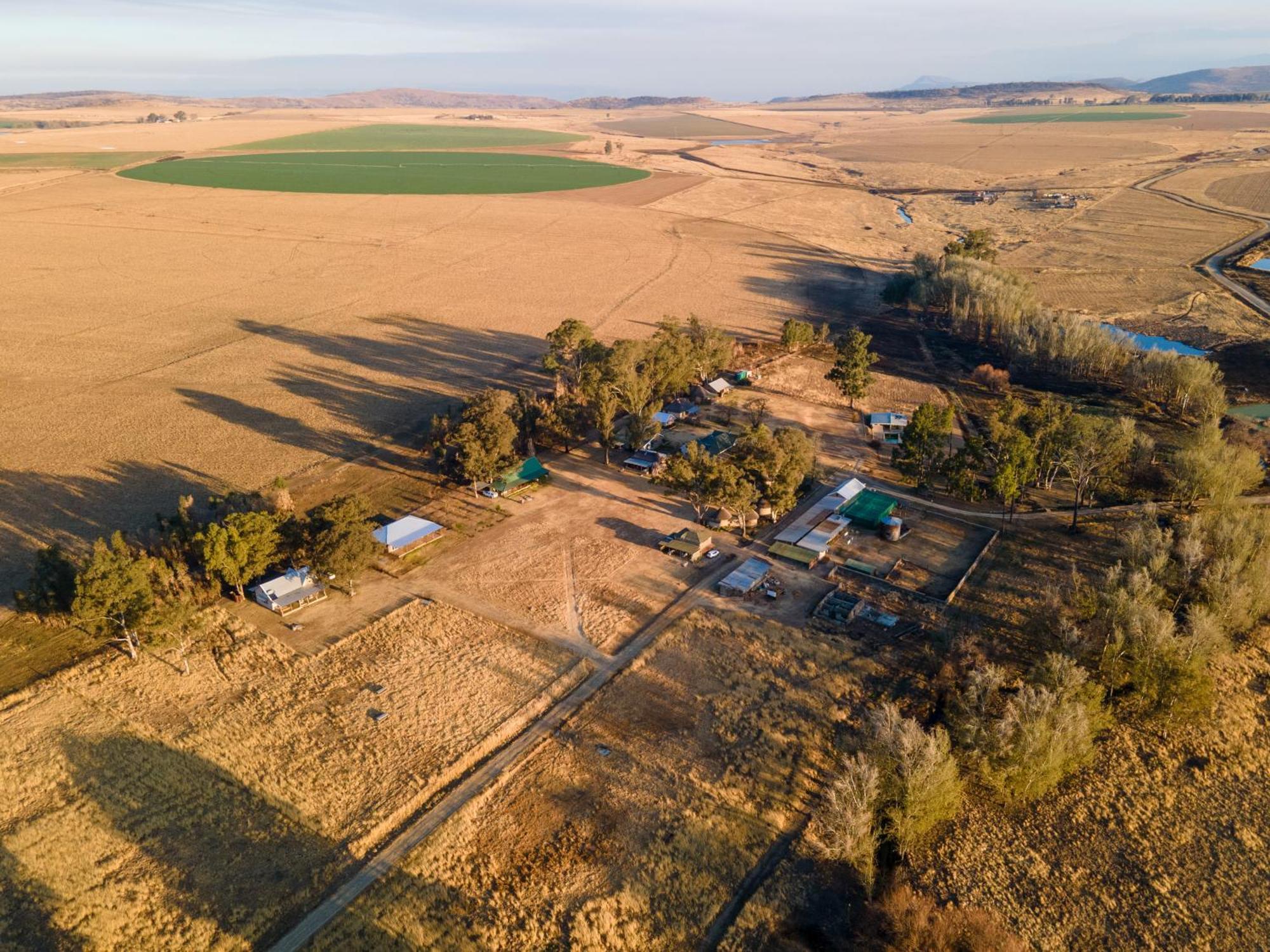 Dalmore Guest Farm Бергвилль Экстерьер фото